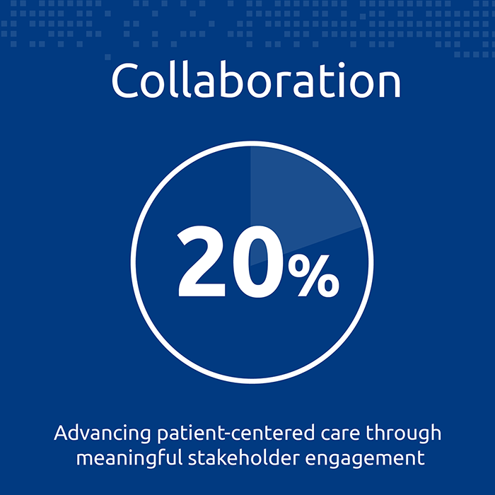 4. Collaboration (20%) — advancing patient-centred care through meaningful stakeholder engagement
